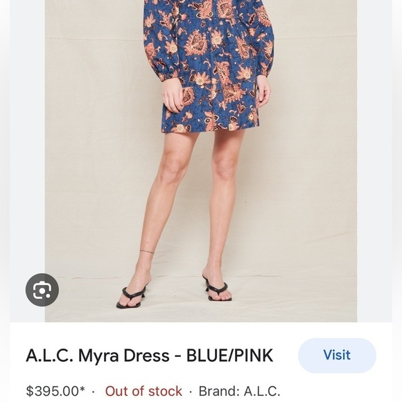 A.L.C. Myra Mini Dress in Blue/Pink Paisley Floral Size 4 - Picture 3 of 14